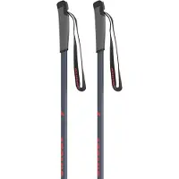 Atomic Pro Junior Poles Argenté 125 cm Enfants