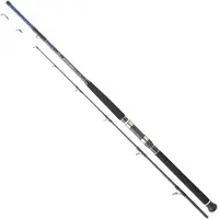 Daiwa Powermesh Boat Bottom Shipping Rod Argenté 2.42 m / 50-200 g