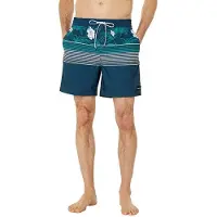 Hurley Short de bain Phantom Cannonball Volley 17'' Bleu L Hommes Bleu L