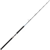 Daiwa Saltiga Deep Jigging Rod Argenté 1.65 m / 100-300 g