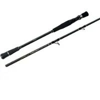 Colmic Strike Baitcasting Rod Argenté 2.03 m / 200 g