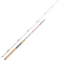 Expert Predator Spigola Spinning Rod Argenté 2.40 m / 10-30 g