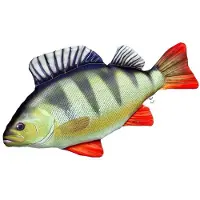 Gaby The Monster Perch Pillow Multicolore
