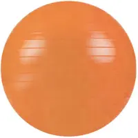 Softee Fitball Flexi