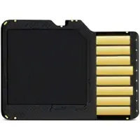 Garmin 010-10683-07, 16 Go, MicroSD, Classe 10, Noir