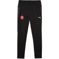 Puma Girona Fc Teamcup Pants Noir M Homme