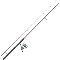 Mitchell Tanager R Spinning Combo Argenté 2.70 m / 15-50 g