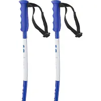 Salomon S/race Sg Junior Poles Bleu 90 cm Enfants