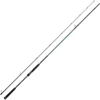 Daiwa Caldia Seabass Move Ii Spinning Rod Argenté 2.21 m / 14-42 g