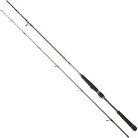 Daiwa Saltist Seabass Spinning Rod Argenté 2.74 m / 14-42 g