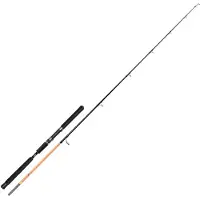 Hart Nation Popping Rod Argenté 2.36 m / 90-250 g