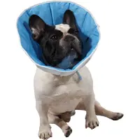 Grande Finale Collerette Post-Op De Cicatrisation Pour Chien Ou Chat 5(Xxl) - Tour De Tête: 44-50cm, Hauteur 26cm