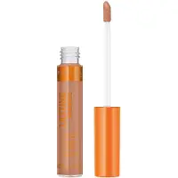 Rimmel London Lasting Radiance Concealer - Chestnut