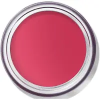 Bobbi Brown Bobbi-Brown Makeup JouesPot Rouge Velvet Matte Guava Punch 8.5 g ()