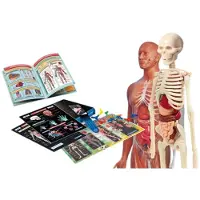 Clementoni Science Laboratory Of Anatomy Clair 8 Years Enfants