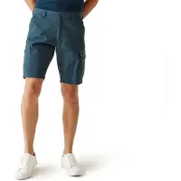 Regatta Ruwan Shorts Bleu 44 Homme