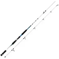 Mitchell Avocet Salt Spinning Rod Argenté 2.70 m / 20-60 g