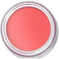 Bobbi Brown Pot Rouge Velvet Matte blush crème mat teinte Apricot Rush 8.5 g