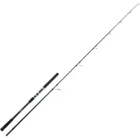 Sakura Ryokan Sw Rsws Tuna Spinning Rod Argenté 2.50 m / 30-150 g