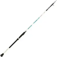 Sele Pagello Bottom Shipping Rod Argenté 3.00 m / 120 g