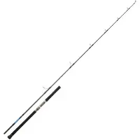 Daiwa Saltiga Giant Travel Bottom Shipping Rod Argenté 2.59 m / 100-180 g
