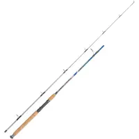 Expert Predator Serra Spinning Rod Argenté 2.70 m / 20-60 g