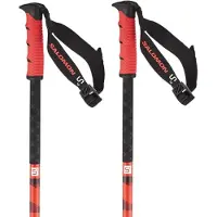 Salomon Bâtons Steep Pro S3