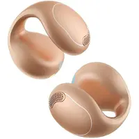 Soundcore C40i Wireless Earphones Marron