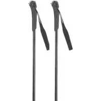 Rossignol Ft-501 Junior Poles Argenté 90 cm Enfants