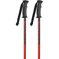 K2 France Speed Rental Poles Argenté 115 cm