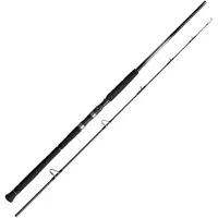 Shimano Fishing 25ocea Plugger Limited Spinning Rod Argenté 2.51 m / 130 g