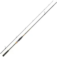 Daiwa Morethan Branzino Expert Distance Spinning Rod Argenté 3.05 m / 14-56 g