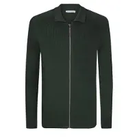 Felix Hardy Vestes en maille vert