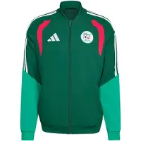 Adidas Algeria 26/27 Presentation Jacket Vert XL / Regular Homme