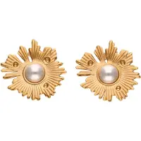 Gaya Boucles d'oreilles or / argent