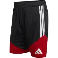 Adidas Pantalon de sport 'DFB' rouge / noir / blanc