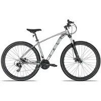 RALI A1 29´´ Ty300 Mtb Bike Argenté S