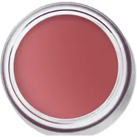 Bobbi Brown Bobbi-Brown Makeup JouesPot Rouge Velvet Matte Rose Garden 8,5 g ()