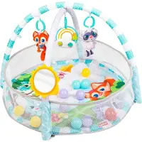 WINFUN Ball Baby Gym Refurbished Multicolore Enfants