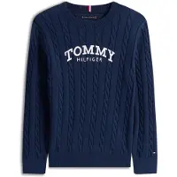 Tommy Hilfiger Pull-over marine / blanc
