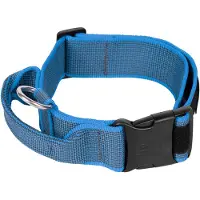 JULIUS K-9 Collar 50 Mm Dog Collar Bleu 50 mm