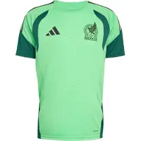 Adidas Mexico 26/27 Tiro Training Short Sleeve T-shirt Vert S / Regular Homme