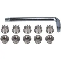 Fsa T30 E0024 Chainring Screw Set 10 Units Argenté