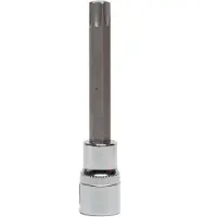 Proline ZR58544 foret