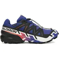 Salomon SPEEDCROSS 6 GTX EQUIPE, disponible en différentes couleurs, taille 40 2/3