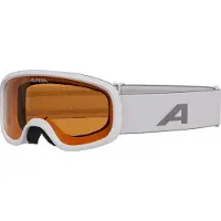 Alpina Masque de ski