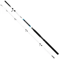 Kamasaki Cat Catfish Rod Clair 2.10 m / 100-300 g
