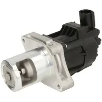 Delphi Vanne EGR EG10479-12B1