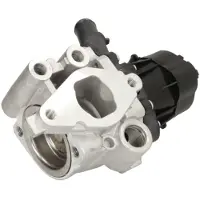 Delphi Vanne EGR EG10482-12B1