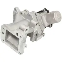 Delphi Vanne EGR EG10437-12B1